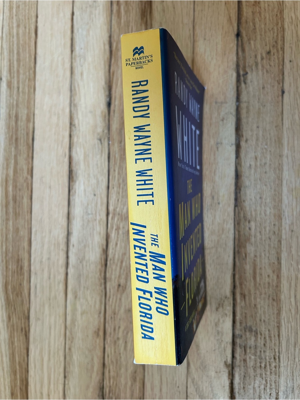 The Man Who Invented Florida - Blue Paperback - Picture 2 of 4